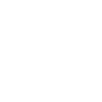 SALT Social Media